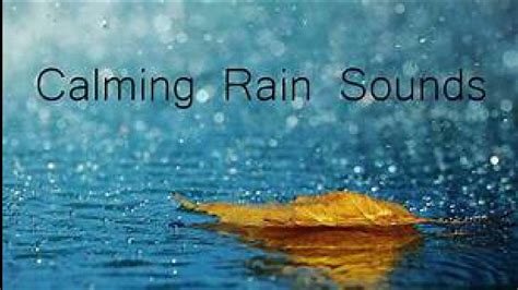 Enjoy the atmosphere created by the rain, thunderstom and fireplace sounds. . Youtube rain sounds